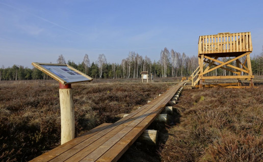 9_Amalvos gamtos takas.jpg